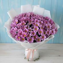 Букет цветов из:  Хризантемы #REPLACE_PRED# Майне