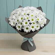 Букет цветов из:  Хризантемы #REPLACE_PRED# Майне