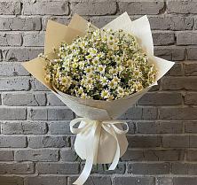 Букет цветов из:  Ромашки #REPLACE_PRED# Майне