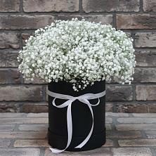 Цветочная композиция из Гипсофила в шляпной коробке в Майне