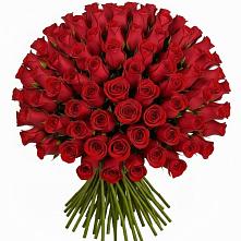 Букет Красные розы Чери Лав #REPLACE_PRED# Майне